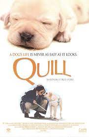 Quill The Life of a Guide Dog (2004) โฮ่งฮับ เจ้าตัวเนี้ยซี้ร้อยเปอร์เซ็นต์